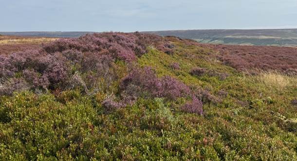 A screenshot of a computer

AI-generated content may be incorrect.